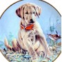 Декоративная тарелка Собака Щенок, Глаза в глаза. США