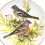 Декоративная тарелка Зяблик, Европейская певчая птица Tirschenreuth, Ursula Band. Германия