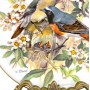 Декоративная тарелка Горихвостка, Европейская певчая птица Tirschenreuth, Ursula Band. Германия
