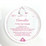 Декоративная тарелка Camellia, Роза Камелия, Royal Albert. Англия
