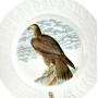 Декоративная тарелка Орел, John James Audubon. США