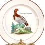 Декоративная тарелка Птицы, Белая куропатка, Paradiso
